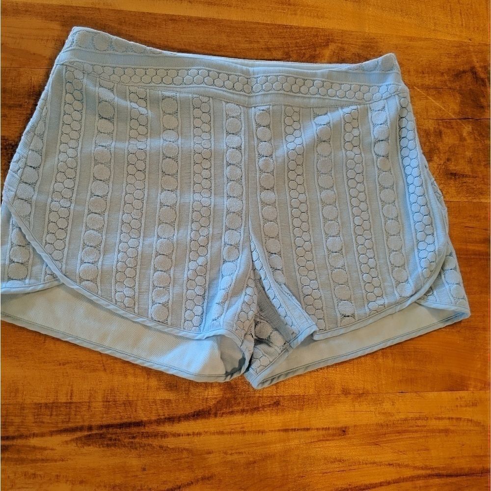 Alya embroidered shorts Robin egg blue medium